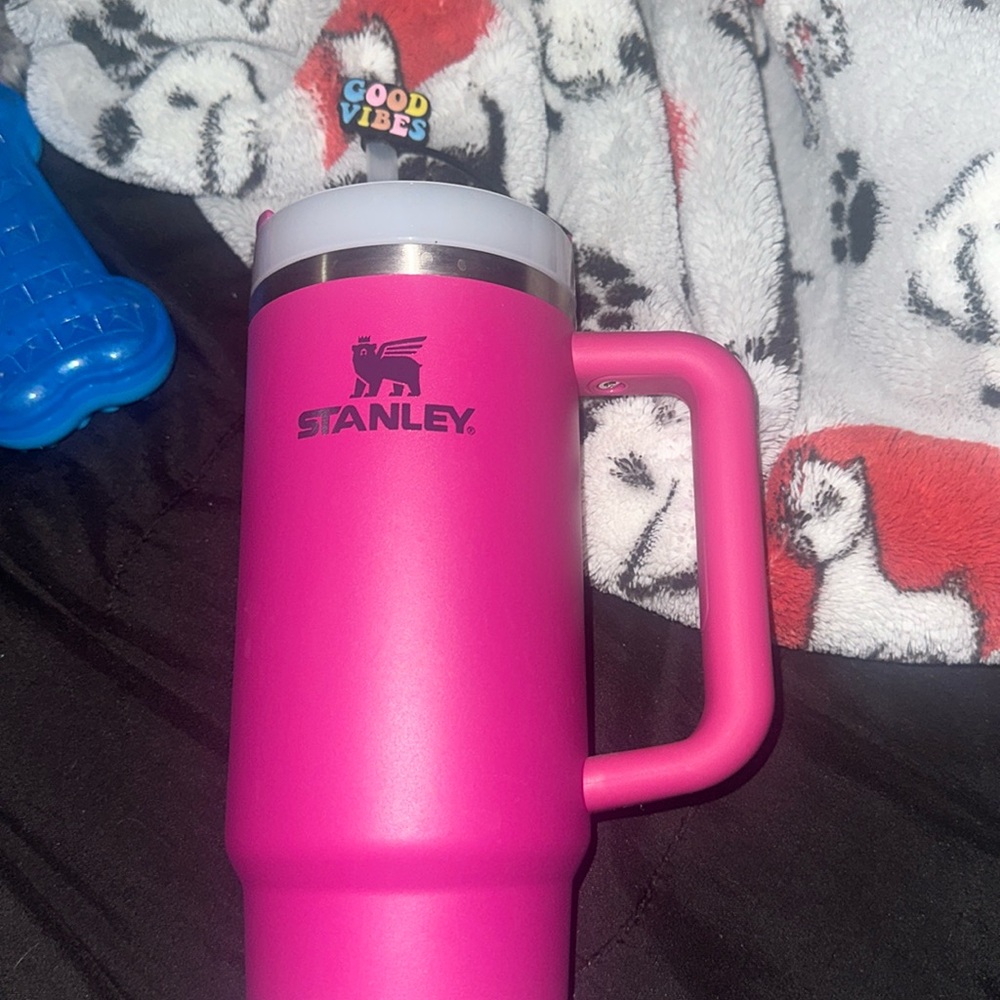 30oz Fushia Stanley